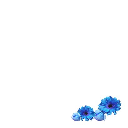 Felicitatie geboortehuisje vogel blauw 3