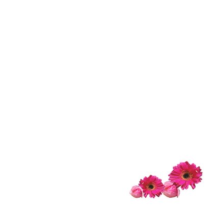 Felicitatie geboortehuisje vogel roze 3