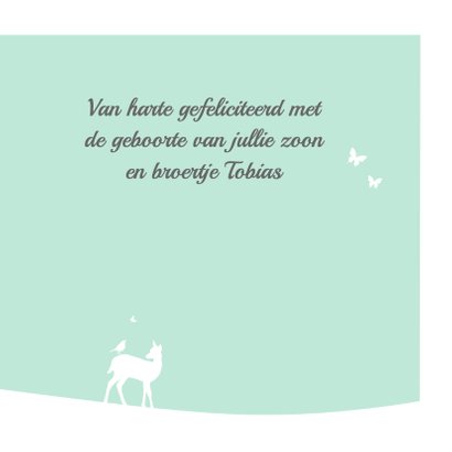 Felicitatie - Hartjesboom zoon 3