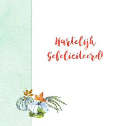 Felicitatie herfsttafereel kalebas 2