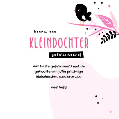 Felicitatie hoera een kleindochter met vogeltjes 3