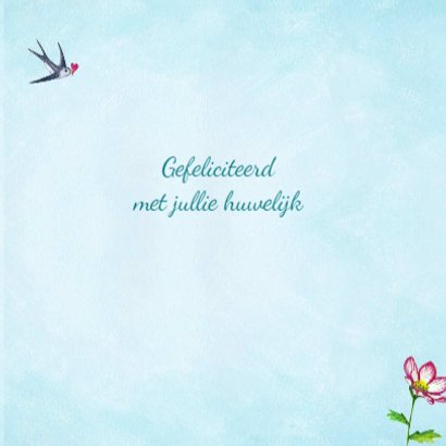 Felicitatie huwelijk Luchtballon 3