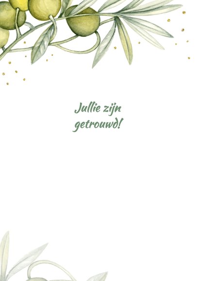 Felicitatie huwelijk olijftak 2