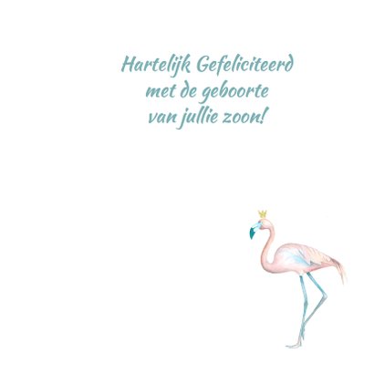Felicitatie jongen flamingo foto 3