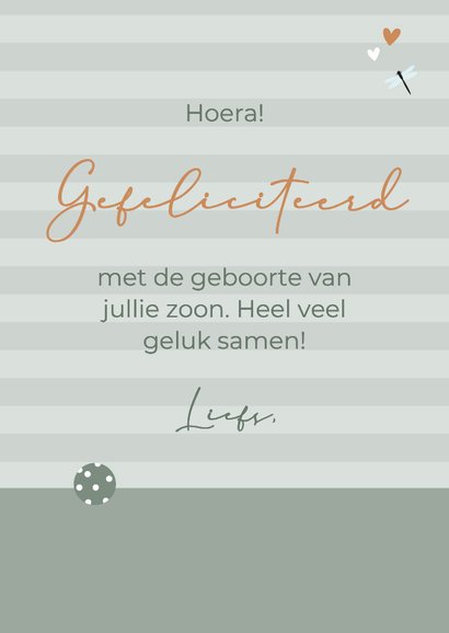 Felicitatie jongen teckel met bal 3