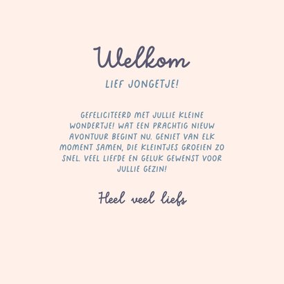  Felicitatie kaart geboorte jongen konijn in mandje blauw 3