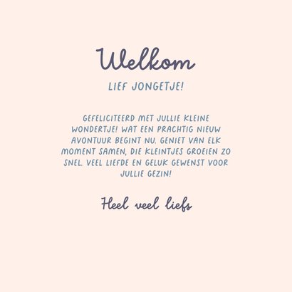  Felicitatie kaart geboorte jongen konijn in mandje blauw 3