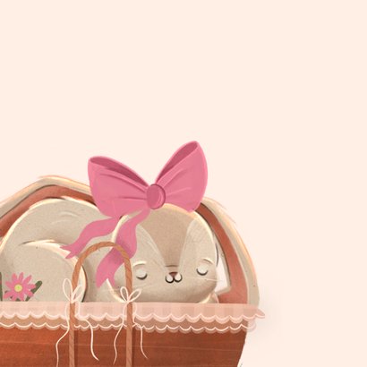 Felicitatie kaart geboorte meisje konijn in mandje roze 2
