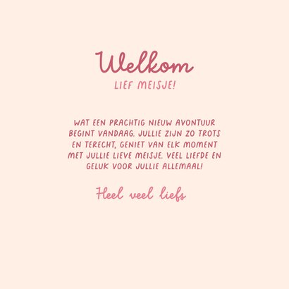 Felicitatie kaart geboorte meisje konijn in mandje roze 3