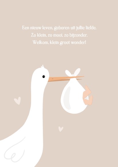 Felicitatie kaart geboorte met ooievaar  2