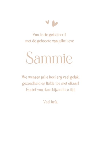 Felicitatie kaart geboorte met ooievaar  3