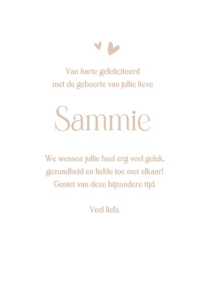 Felicitatie kaart geboorte met ooievaar  3