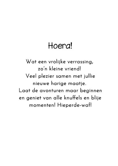 Felicitatie kaart hond piept uit cadeau 3