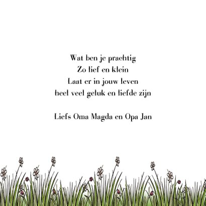 Felicitatie kaartje geboorte leeuwtje 3