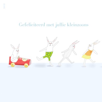 Felicitatie - Kleine jongens met konijntjes 2