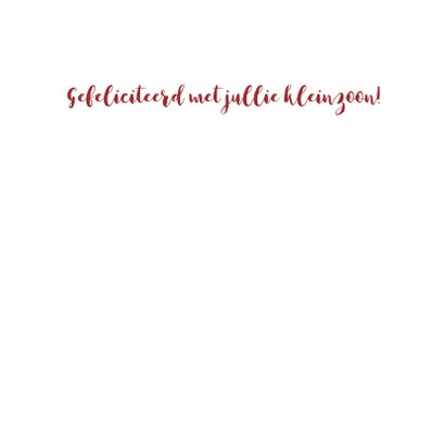 Felicitatie kleinzoon illustratie 3
