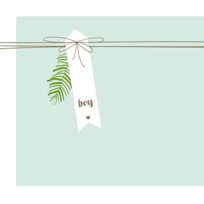 Felicitatie - Label, lijnen, jongen, takje 2