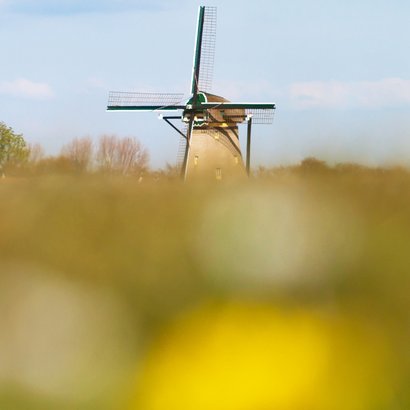 Felicitatie landschap met molen 2