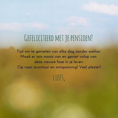 Felicitatie landschap met molen 3
