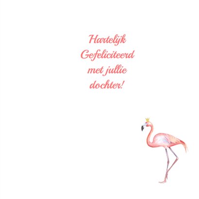 Felicitatie meisje flamingo foto 3