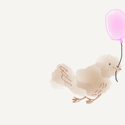 Felicitatie Meisje vogeltjes 2