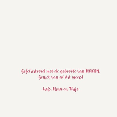 Felicitatie Meisjeskleertjes 3