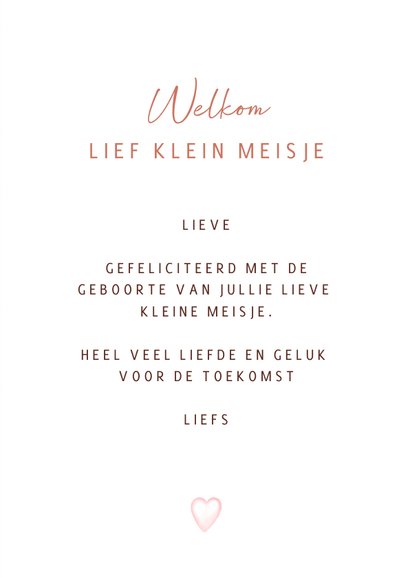 Felicitatie mobiel geboorte meisje babyknuffels 3