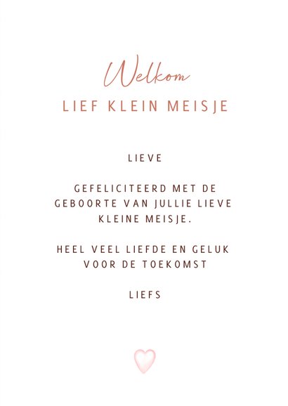 Felicitatie mobiel geboorte meisje babyknuffels 3