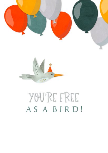 Felicitatie pensioen feestelijke vogel met stoere ballonnen 2