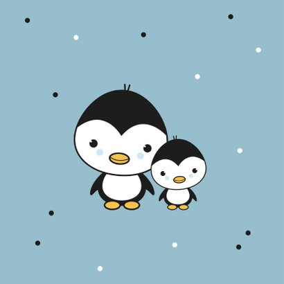 Felicitatie - Pinguïn broertjes 2