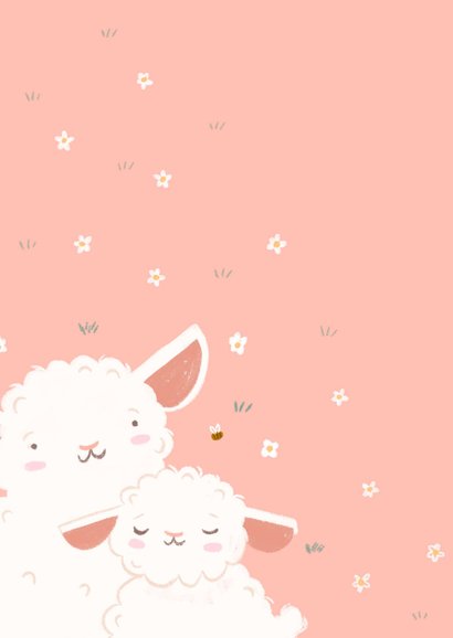 Felicitatie roze geboortekaartje lammetje schaapje en bij 2