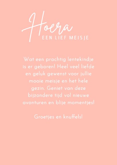 Felicitatie roze geboortekaartje lammetje schaapje en bij 3