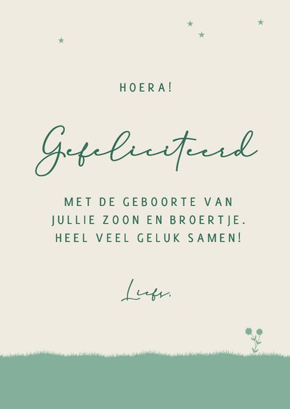 Felicitatie silhouet baby en grote broer op hekje 3