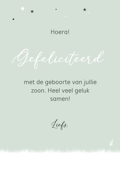 Felicitatie silhouet hobbelpaard 3