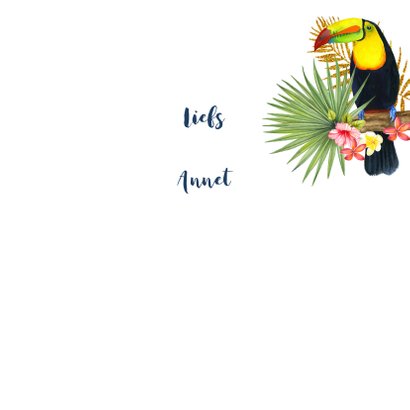 Felicitatie tropische toekanvogel 3