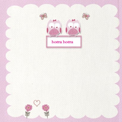 felicitatie tweeling dochter uiltjes 2