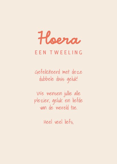 Felicitatie tweeling meisjes kleurrijk met lila vogels 3
