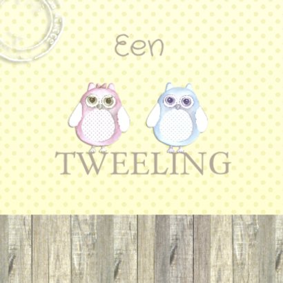 Felicitatie tweeling uil 2