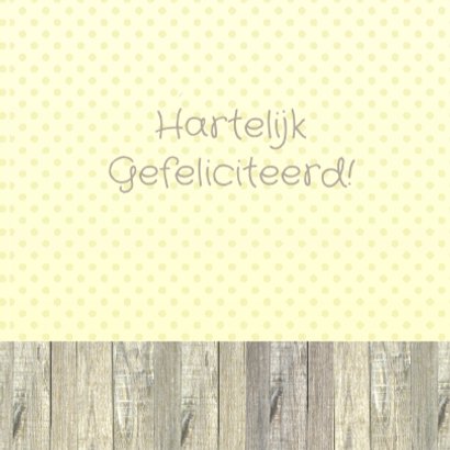 Felicitatie tweeling uil 3