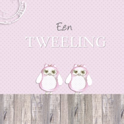 felicitatie tweeling uiltje 2