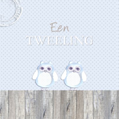 felicitatie tweeling uiltjes 2