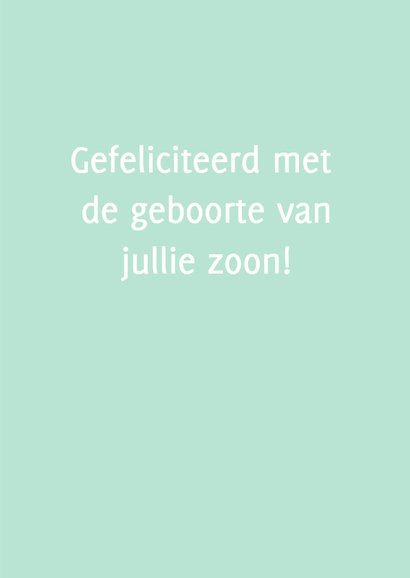 Felicitatie - Veer, hartje, zoon 3