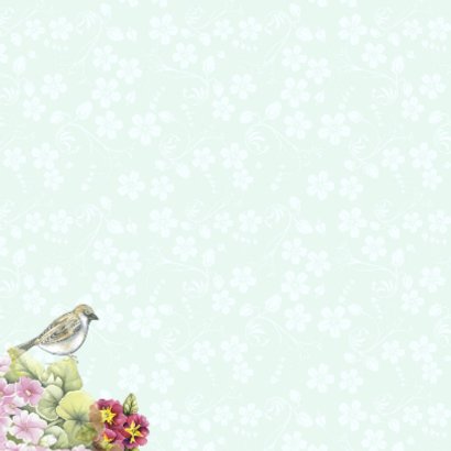 felicitatie verhuizen vogels 2