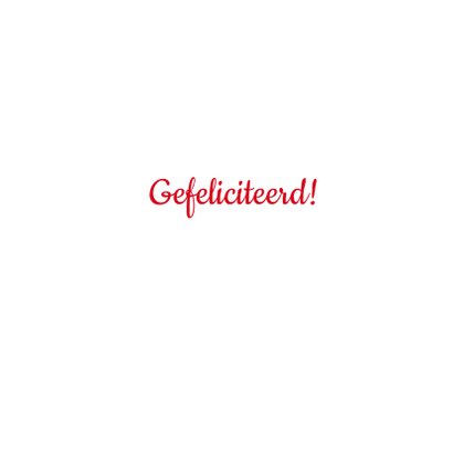 Felicitatie verjaardag paard ballonnen 3