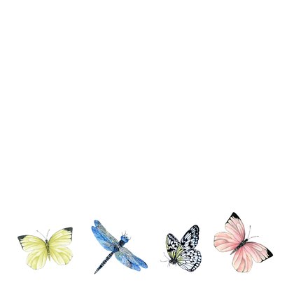 Felicitatie vlinders 2