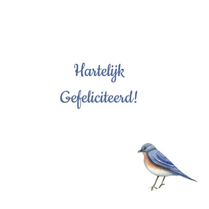 Felicitatie vogels leeftijd 3