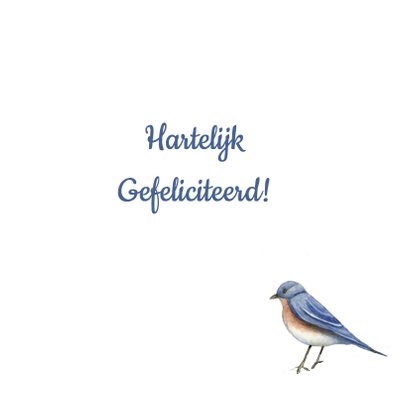 Felicitatie vogels leeftijd 3