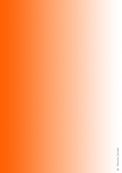 Felicitatie voor de eerste plaats in oranje 2
