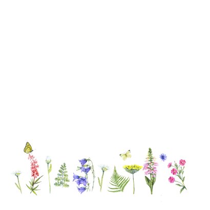 Felicitatie wilde bloemen 3