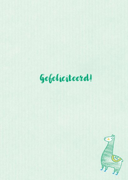Felicitatie zoon handgetekend alpaca mint 3